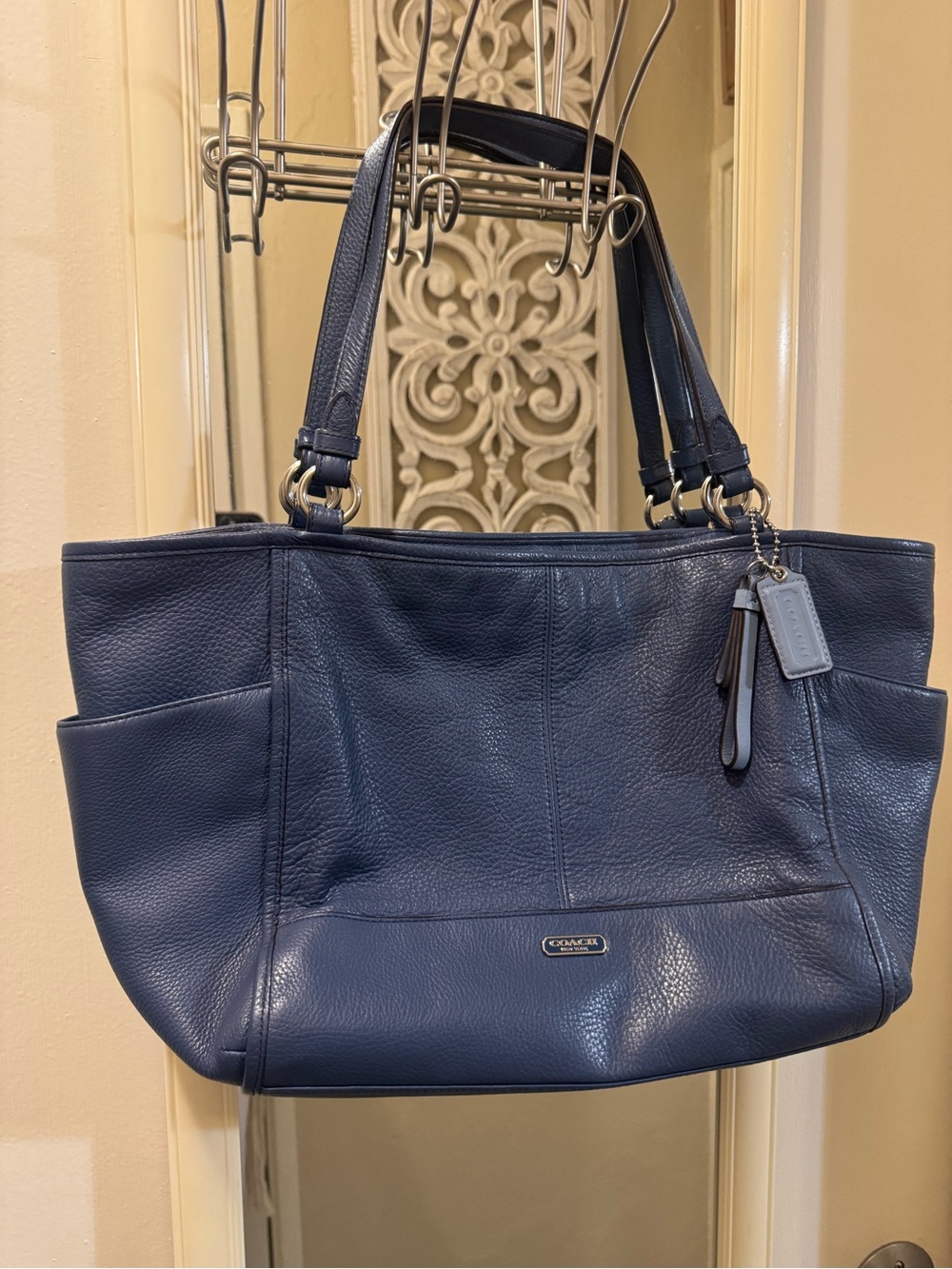 Coach Park Leather Carrie (F29898)